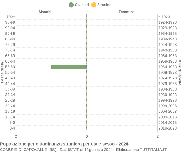 Grafico cittadini stranieri - Capovalle 2024