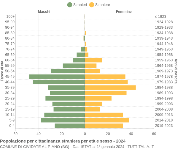 Grafico cittadini stranieri - Cividate al Piano 2024