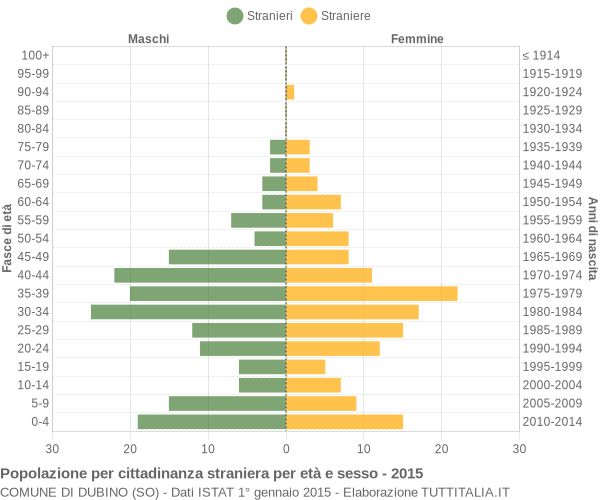 Grafico cittadini stranieri - Dubino 2015