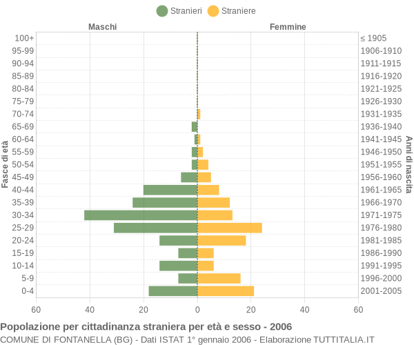 Grafico cittadini stranieri - Fontanella 2006