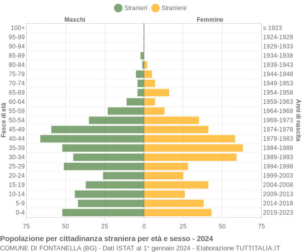 Grafico cittadini stranieri - Fontanella 2024