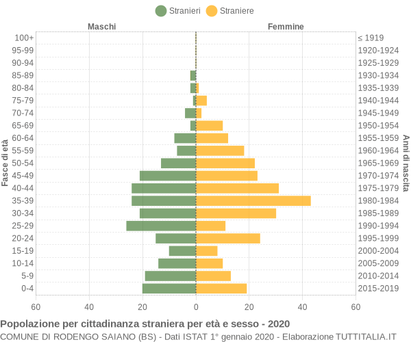 Grafico cittadini stranieri - Rodengo Saiano 2020