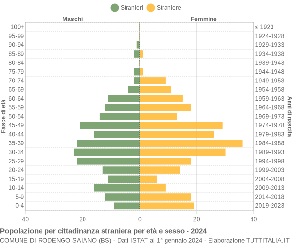 Grafico cittadini stranieri - Rodengo Saiano 2024