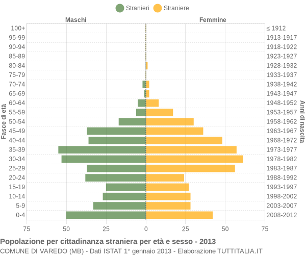 Grafico cittadini stranieri - Varedo 2013