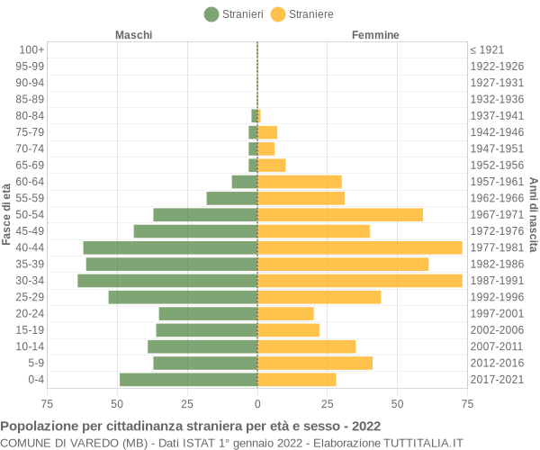 Grafico cittadini stranieri - Varedo 2022