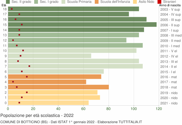 Grafico Popolazione in età scolastica - Botticino 2022