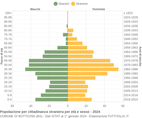 Grafico cittadini stranieri - Botticino 2024