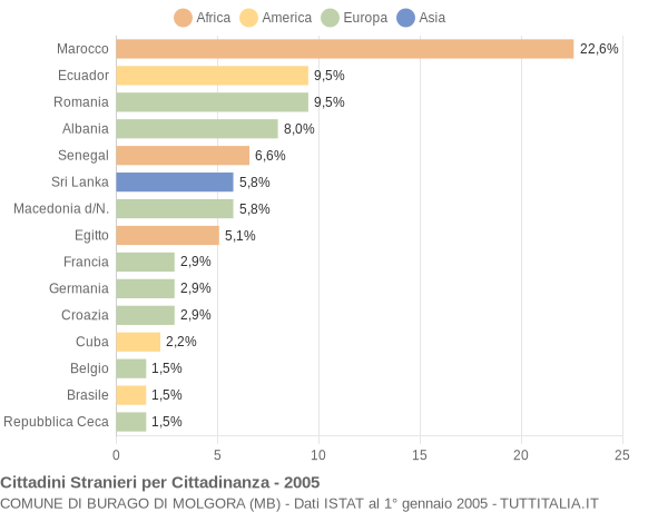 Grafico cittadinanza stranieri - Burago di Molgora 2005