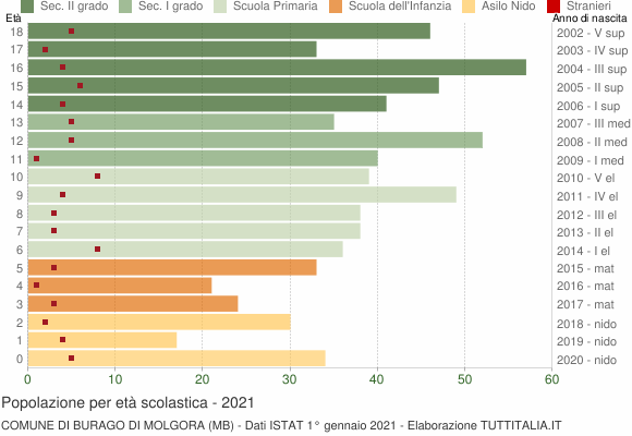 Grafico Popolazione in età scolastica - Burago di Molgora 2021