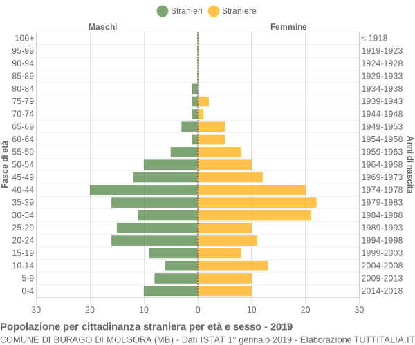Grafico cittadini stranieri - Burago di Molgora 2019