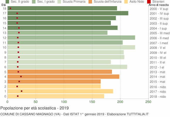 Grafico Popolazione in età scolastica - Cassano Magnago 2019