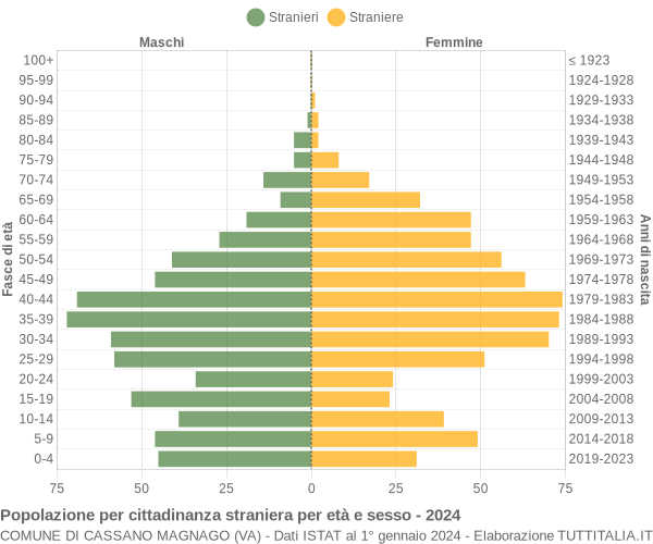 Grafico cittadini stranieri - Cassano Magnago 2024