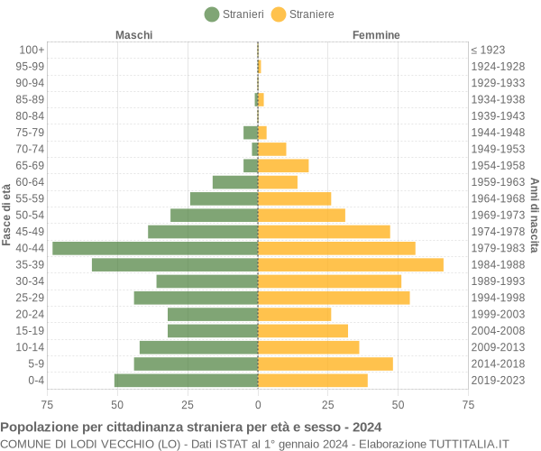 Grafico cittadini stranieri - Lodi Vecchio 2024