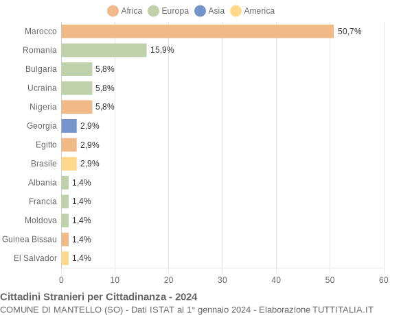 Grafico cittadinanza stranieri - Mantello 2024