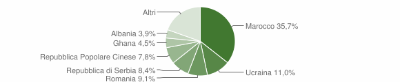 Grafico cittadinanza stranieri - Ardesio 2011