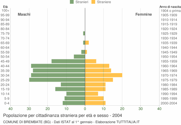 Grafico cittadini stranieri - Brembate 2004