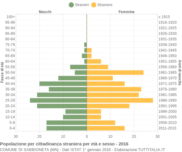 Grafico cittadini stranieri - Sabbioneta 2016