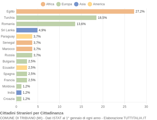 Grafico cittadinanza stranieri - Tribiano 2004