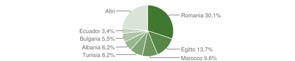 Grafico cittadinanza stranieri - Tribiano 2009