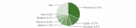 Grafico cittadinanza stranieri - Tribiano 2011