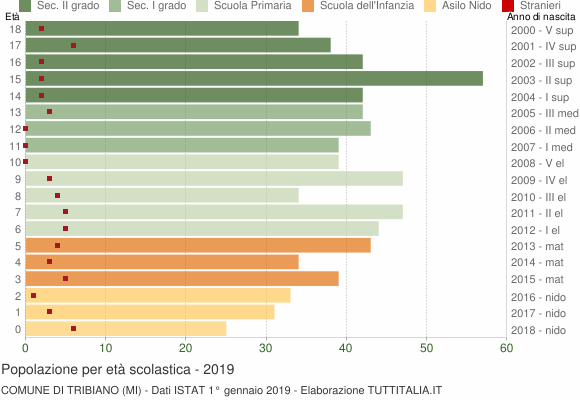 Grafico Popolazione in età scolastica - Tribiano 2019