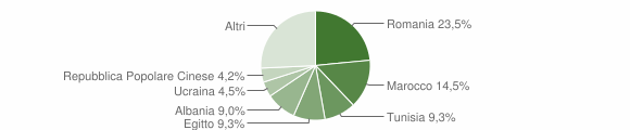 Grafico cittadinanza stranieri - Tromello 2015
