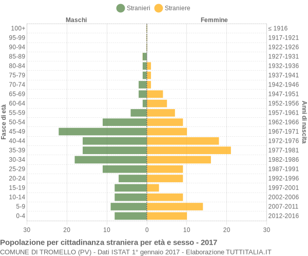 Grafico cittadini stranieri - Tromello 2017