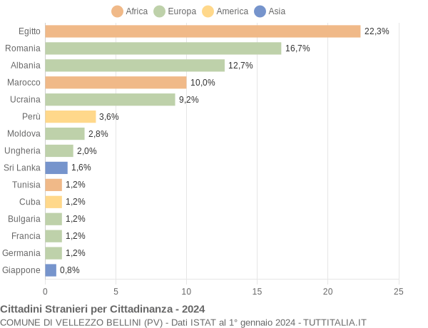 Grafico cittadinanza stranieri - Vellezzo Bellini 2024