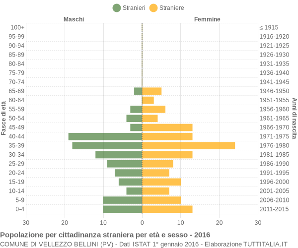 Grafico cittadini stranieri - Vellezzo Bellini 2016