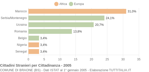 Grafico cittadinanza stranieri - Braone 2005