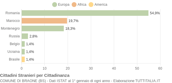 Grafico cittadinanza stranieri - Braone 2010