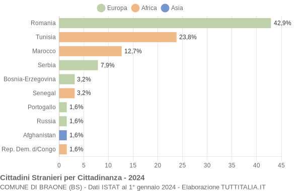 Grafico cittadinanza stranieri - Braone 2024