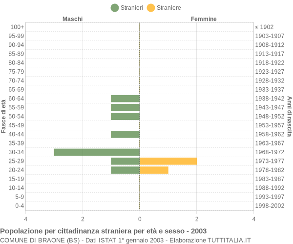 Grafico cittadini stranieri - Braone 2003