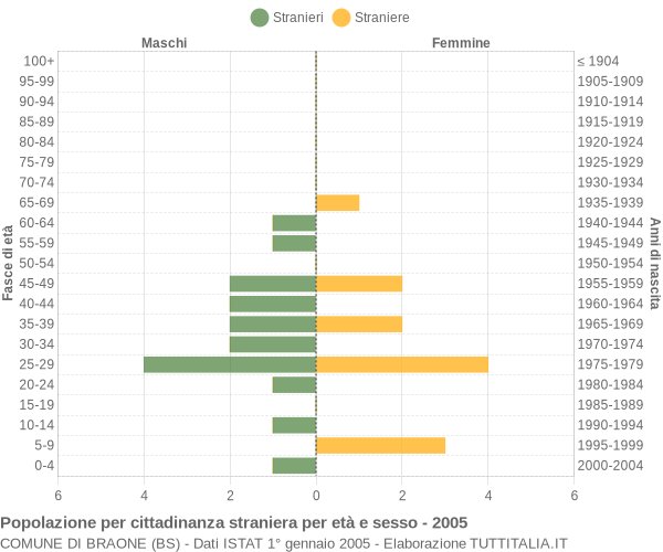 Grafico cittadini stranieri - Braone 2005