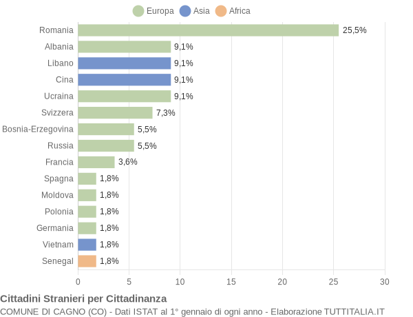 Grafico cittadinanza stranieri - Cagno 2010