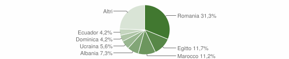 Grafico cittadinanza stranieri - Rosate 2011