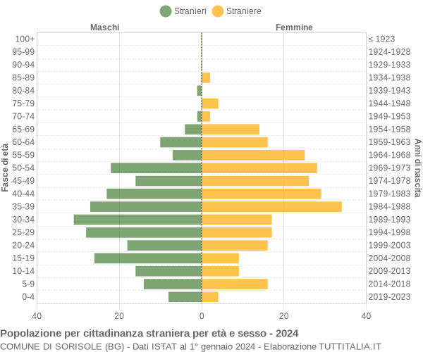 Grafico cittadini stranieri - Sorisole 2024