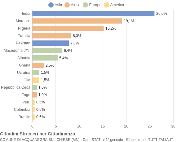 Grafico cittadinanza stranieri - Acquanegra sul Chiese 2004