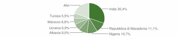 Grafico cittadinanza stranieri - Acquanegra sul Chiese 2010