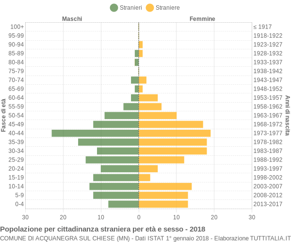 Grafico cittadini stranieri - Acquanegra sul Chiese 2018