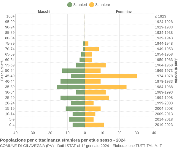 Grafico cittadini stranieri - Cilavegna 2024