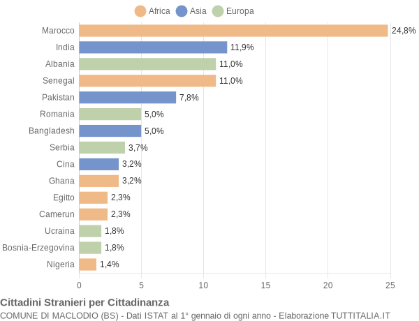 Grafico cittadinanza stranieri - Maclodio 2009