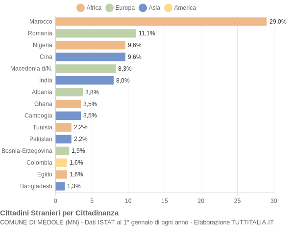 Grafico cittadinanza stranieri - Medole 2004