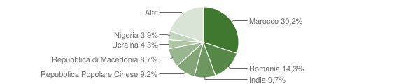 Grafico cittadinanza stranieri - Medole 2010