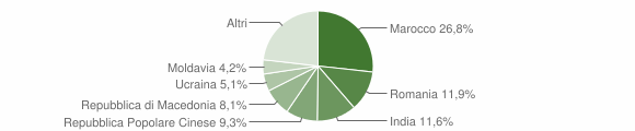 Grafico cittadinanza stranieri - Medole 2012