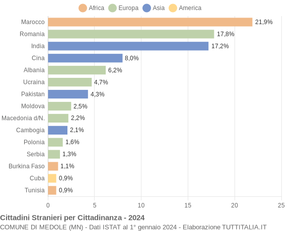 Grafico cittadinanza stranieri - Medole 2024