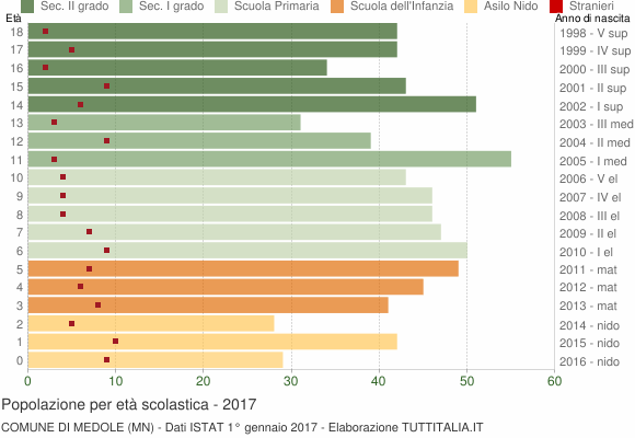 Grafico Popolazione in età scolastica - Medole 2017