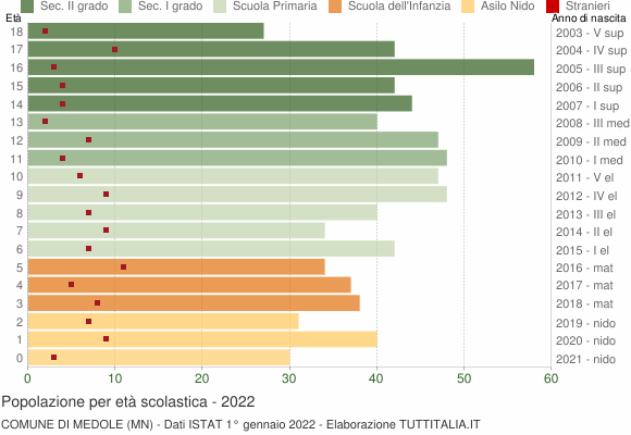 Grafico Popolazione in età scolastica - Medole 2022