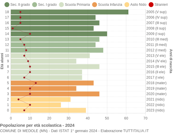 Grafico Popolazione in età scolastica - Medole 2024