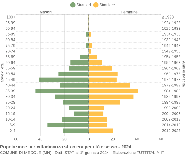 Grafico cittadini stranieri - Medole 2024